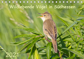 Wildlebende Vögel in Südhessen (Tischkalender 2021 DIN A5 quer) von Buß,  Daniela