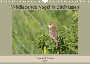 Wildlebende Vögel in Südhessen (Wandkalender 2018 DIN A4 quer) von Buß,  Daniela
