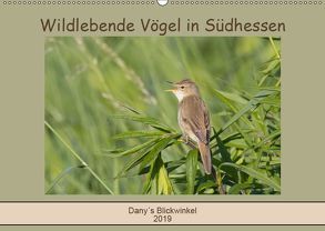 Wildlebende Vögel in Südhessen (Wandkalender 2019 DIN A2 quer) von Buß,  Daniela