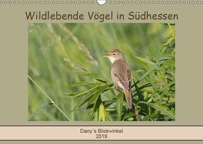 Wildlebende Vögel in Südhessen (Wandkalender 2019 DIN A3 quer) von Buß,  Daniela