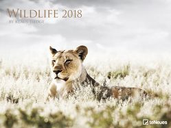 Wildlife 2018 von Tiedge,  Klaus