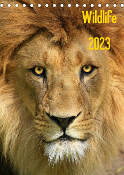 Wildlife 2023 (Tischkalender 2023 DIN A5 hoch) von Klingebiel,  Jens