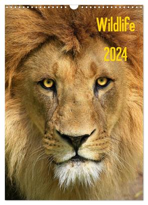 Wildlife 2024 (Wandkalender 2024 DIN A3 hoch), CALVENDO Monatskalender von Klingebiel,  Jens