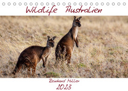 Wildlife Australien (Tischkalender 2023 DIN A5 quer) von Müller,  Reinhard