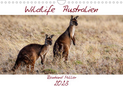 Wildlife Australien (Wandkalender 2023 DIN A4 quer) von Müller,  Reinhard