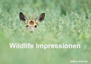 Wildlife Impressionen (Posterbuch DIN A3 quer) von Schmidt,  Sabine