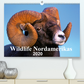 Wildlife Nordamerikas 2020 (Premium, hochwertiger DIN A2 Wandkalender 2020, Kunstdruck in Hochglanz) von KOPFLE,  ROLF