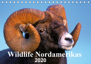 Wildlife Nordamerikas 2020 (Tischkalender 2020 DIN A5 quer) von KOPFLE,  ROLF