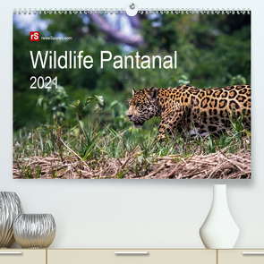 Wildlife Pantanal 2021 (Premium, hochwertiger DIN A2 Wandkalender 2021, Kunstdruck in Hochglanz) von Bergwitz,  Uwe