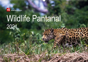 Wildlife Pantanal 2021 (Wandkalender 2021 DIN A2 quer) von Bergwitz,  Uwe