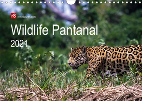Wildlife Pantanal 2021 (Wandkalender 2021 DIN A4 quer) von Bergwitz,  Uwe