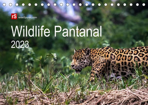Wildlife Pantanal 2023 (Tischkalender 2023 DIN A5 quer) von Bergwitz,  Uwe