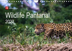 Wildlife Pantanal 2023 (Wandkalender 2023 DIN A4 quer) von Bergwitz,  Uwe