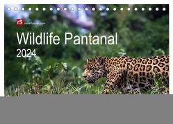 Wildlife Pantanal 2024 (Tischkalender 2024 DIN A5 quer), CALVENDO Monatskalender von Bergwitz,  Uwe