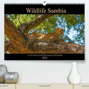 Wildlife Sambia (Premium, hochwertiger DIN A2 Wandkalender 2022, Kunstdruck in Hochglanz) von Photo4emotion.com