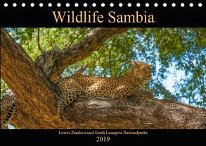 Wildlife Sambia (Tischkalender 2019 DIN A5 quer) von Photo4emotion.com