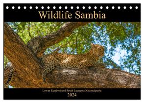Wildlife Sambia (Tischkalender 2024 DIN A5 quer), CALVENDO Monatskalender von Photo4emotion.com,  Photo4emotion.com