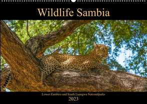 Wildlife Sambia (Wandkalender 2023 DIN A2 quer) von Photo4emotion.com
