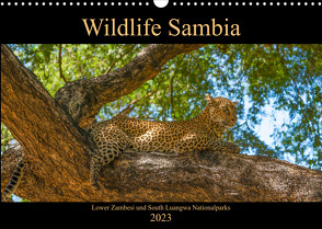 Wildlife Sambia (Wandkalender 2023 DIN A3 quer) von Photo4emotion.com