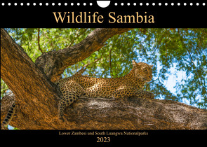 Wildlife Sambia (Wandkalender 2023 DIN A4 quer) von Photo4emotion.com