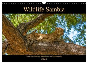 Wildlife Sambia (Wandkalender 2024 DIN A3 quer), CALVENDO Monatskalender von Photo4emotion.com,  Photo4emotion.com
