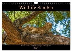 Wildlife Sambia (Wandkalender 2024 DIN A4 quer), CALVENDO Monatskalender von Photo4emotion.com,  Photo4emotion.com