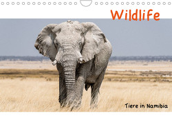 Wildlife – Tiere in Namibia (Wandkalender 2022 DIN A4 quer) von Kunert,  Matthias