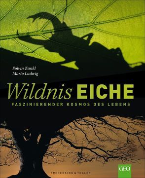 Wildnis Eiche von Ludwig,  Mario, Zankl,  Solvin
