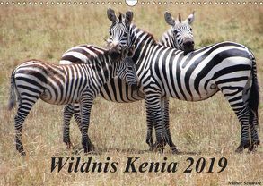 Wildnis Kenia 2019 (Wandkalender 2019 DIN A3 quer) von Schwarz,  Rainer