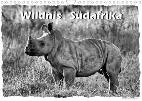 Wildnis Südafrika (Wandkalender 2021 DIN A4 quer) von Wulf,  Guido