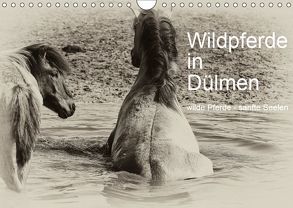 Wildpferde in Dülmen/ wilde Pferde – sanfte Seelen (Wandkalender 2019 DIN A4 quer) von Dederichs,  Karin