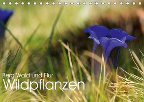 Wildpflanzen – Berg, Wald und Flur (Tischkalender 2019 DIN A5 quer) von Niederkofler,  Georg