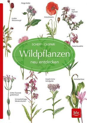 Wildpflanzen neu entdecken von Caspari,  Claus, Scherf,  Gertrud