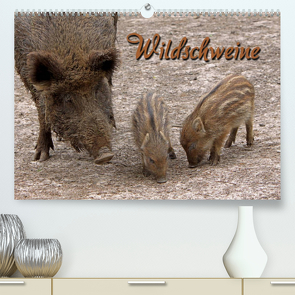 Wildschweine (Premium, hochwertiger DIN A2 Wandkalender 2023, Kunstdruck in Hochglanz) von Berg,  Martina