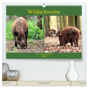 Wildschweine – Tiere aus unseren Wäldern (hochwertiger Premium Wandkalender 2024 DIN A2 quer), Kunstdruck in Hochglanz von Klatt,  Arno