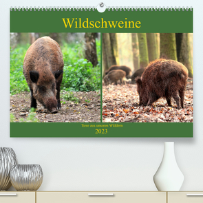 Wildschweine – Tiere aus unseren Wäldern (Premium, hochwertiger DIN A2 Wandkalender 2023, Kunstdruck in Hochglanz) von Klatt,  Arno