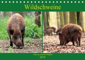 Wildschweine – Tiere aus unseren Wäldern (Tischkalender 2019 DIN A5 quer) von Klatt,  Arno