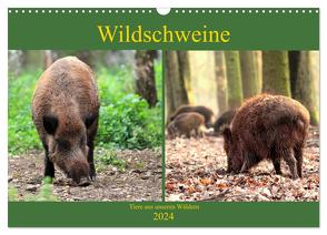 Wildschweine – Tiere aus unseren Wäldern (Wandkalender 2024 DIN A3 quer), CALVENDO Monatskalender von Klatt,  Arno