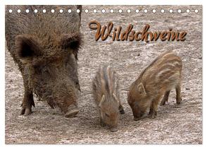 Wildschweine (Tischkalender 2024 DIN A5 quer), CALVENDO Monatskalender von Berg,  Martina