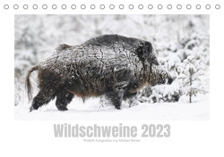 Wildschweine – Wildlife Fotografien (Tischkalender 2023 DIN A5 quer) von Breuer,  Michael