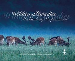 Wildtier-Paradies Mecklenburg-Vorpommern von Eckler,  Frank, Paasch,  Michael, Reich,  Jürgen, Schwarz,  Ulf-Peter