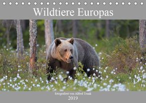 Wildtiere Europas (Tischkalender 2019 DIN A5 quer) von Trunk,  Alfred