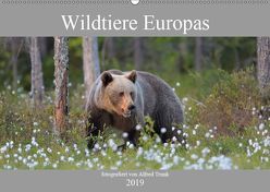 Wildtiere Europas (Wandkalender 2019 DIN A2 quer) von Trunk,  Alfred