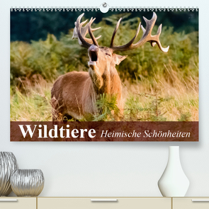 Wildtiere. Heimische Schönheiten (Premium, hochwertiger DIN A2 Wandkalender 2021, Kunstdruck in Hochglanz) von Stanzer,  Elisabeth