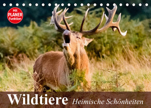 Wildtiere. Heimische Schönheiten (Tischkalender 2022 DIN A5 quer) von Stanzer,  Elisabeth