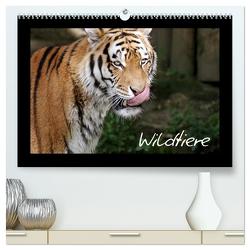 Wildtiere (hochwertiger Premium Wandkalender 2024 DIN A2 quer), Kunstdruck in Hochglanz von Zeller und Christian Kiedy,  Katrin