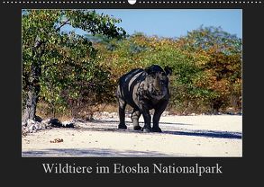 Wildtiere im Etosha Nationalpark (Wandkalender 2019 DIN A2 quer) von Steenblock,  Ewald