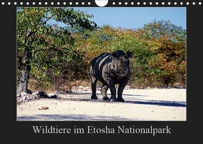 Wildtiere im Etosha Nationalpark (Wandkalender 2019 DIN A4 quer) von Steenblock,  Ewald