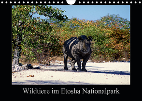 Wildtiere im Etosha Nationalpark (Wandkalender 2021 DIN A4 quer) von Steenblock,  Ewald