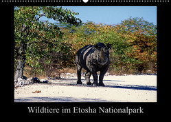 Wildtiere im Etosha Nationalpark (Wandkalender 2023 DIN A2 quer) von Steenblock,  Ewald